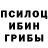 Псилоцибиновые грибы GOLDEN TEACHER FromDkWithLove
