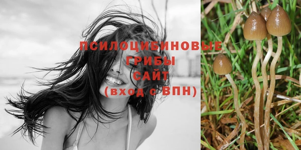 скорость Абаза